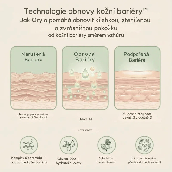 Skin Repair Cream V2