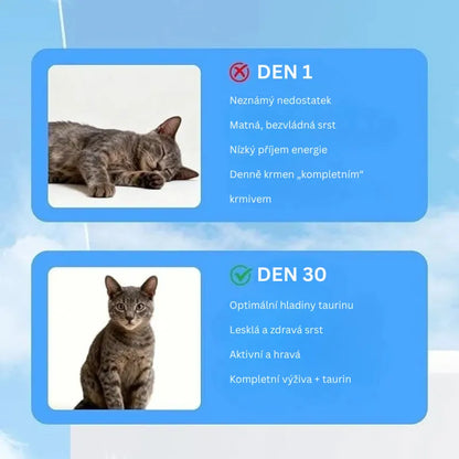 Taurine Cat Health Supplement