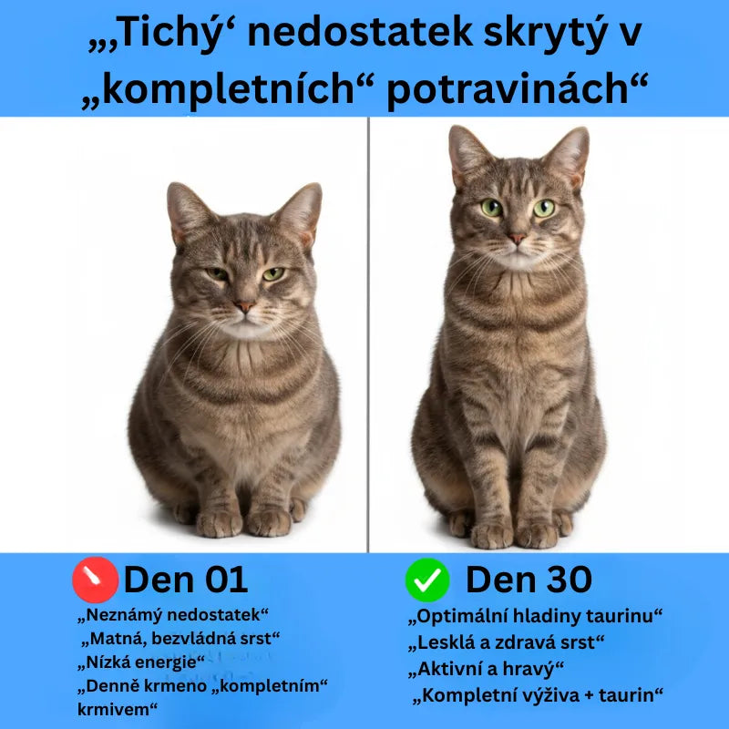 Taurine Cat Health Supplement