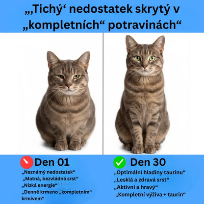 Taurine Cat Health Supplement