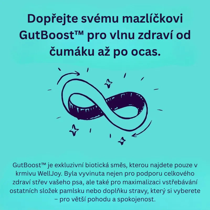 Joint + GutBoost Dog Treats