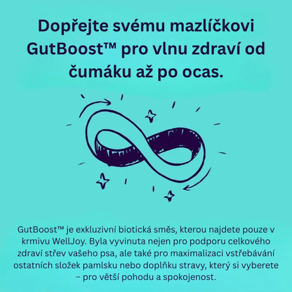 Joint + GutBoost Dog Treats